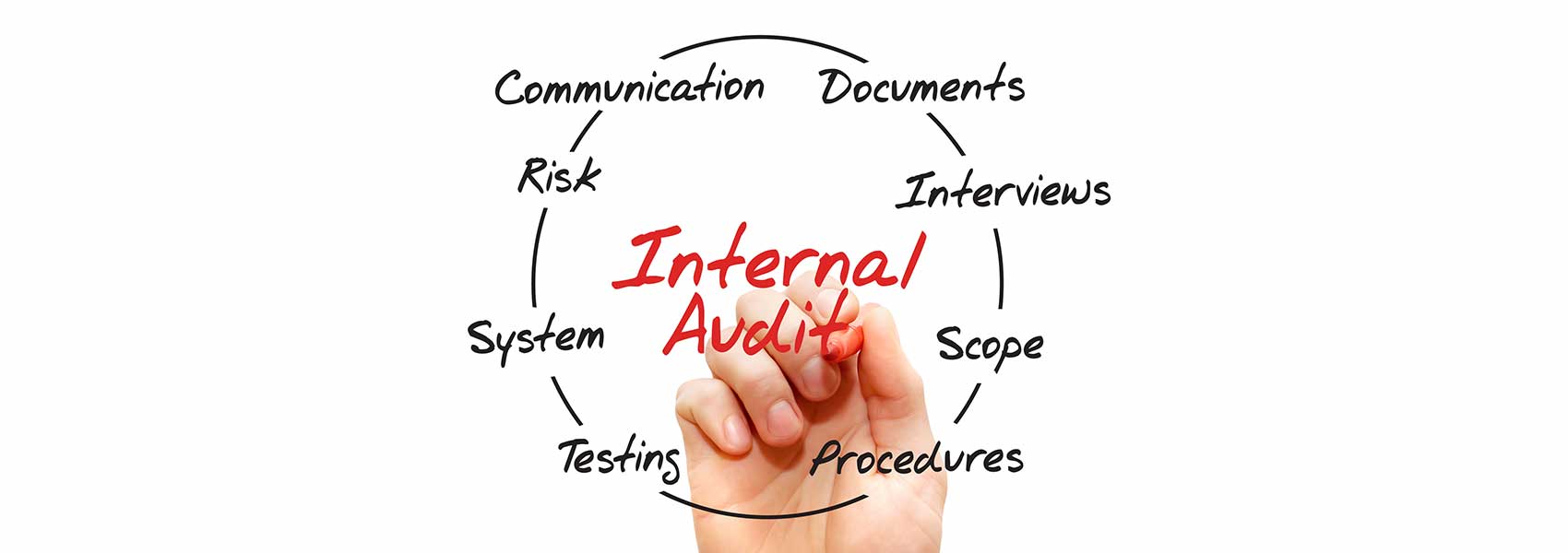 internal audit chart